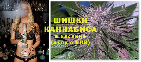 дживик Белокуриха