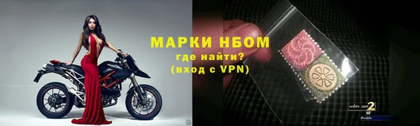дживик Белокуриха